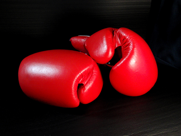 Boxing gloves illustration