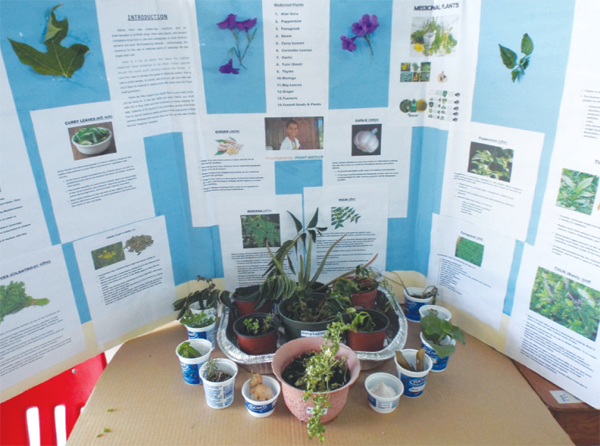 Pulkit Mathru of Grade 6 displayed medicinal plants.