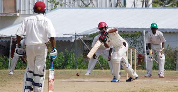 St. Lucia opening batsman Chaz Cepal drives down the ground against Dominica. (Photo: Anthony De Beauville)