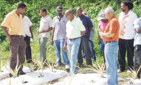 Belle Vue farmers on a field trip.