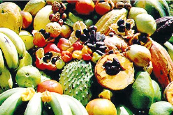 Image of fruits found in St. Lucia.