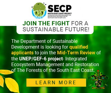 The Department of Sustainable Development in Saint Lucia is looking for qualified applicants to join the Mid-Term Review of the UNEP/GEF-6 project- Integrated Ecosystem Management and Restoration of The Forests of the South East Coast. Tap/click here to learn more.