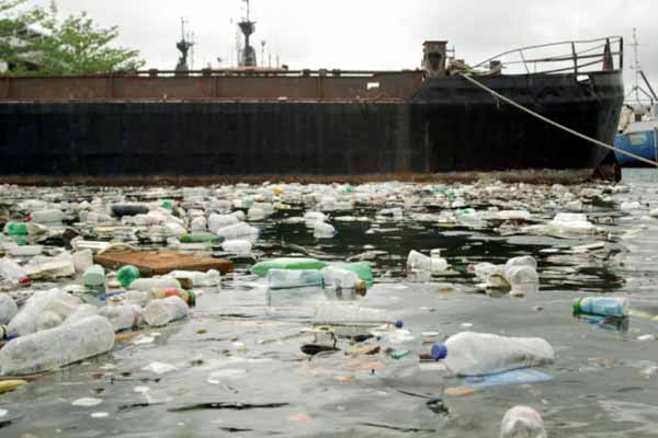 Image: Plastic bottles in the Castries harbour.
