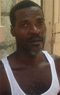 Image of Polinus Felix