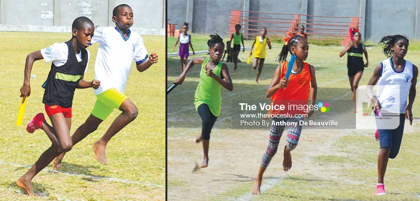 Image: Boys and girls battling it out in the relay races for their respective schools. (PHOTO: Anthony De Beauville)