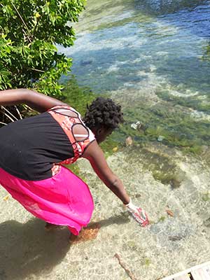 Image: Children cleaning up their Marigot environment