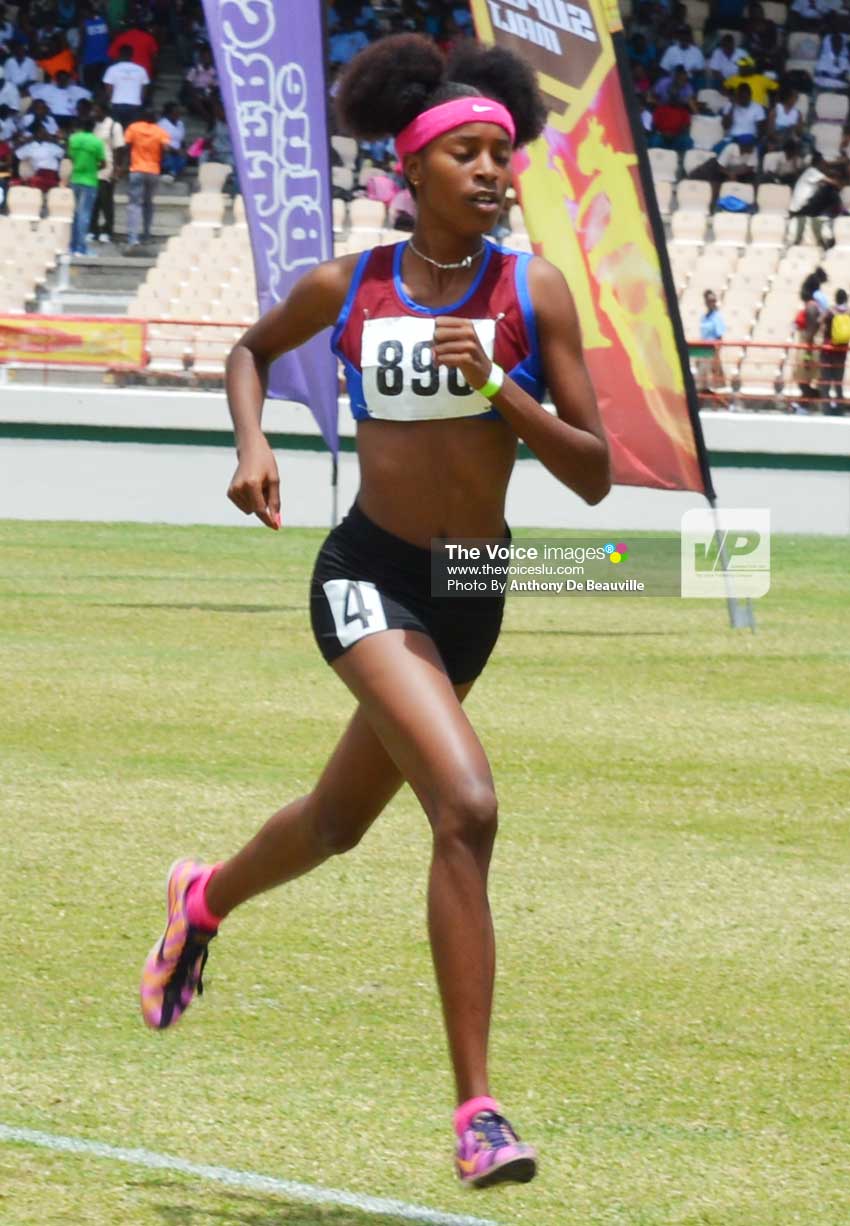 Image of Mechaela Hyacinth