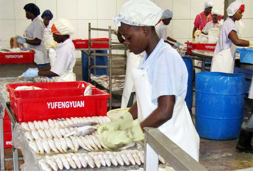 Image: Guyana and other CARICOM countries maintain a vibrant fisheries sector.