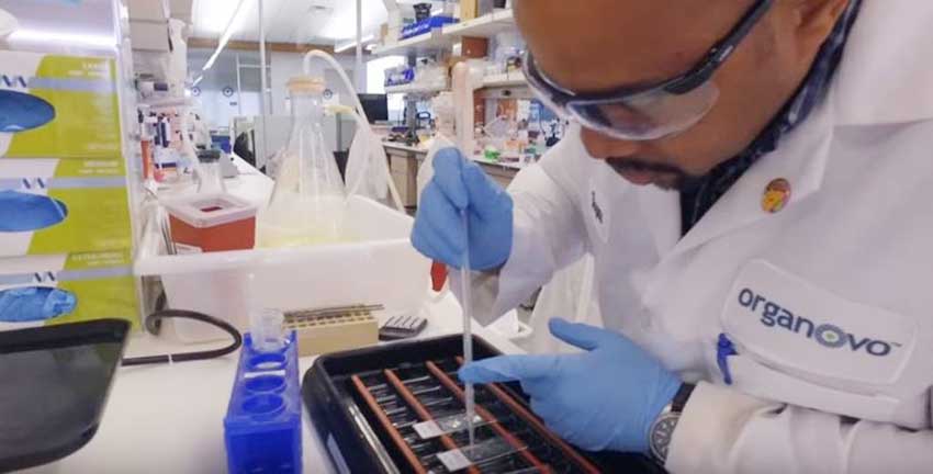 Image of Dr. Dwayne E. Carter