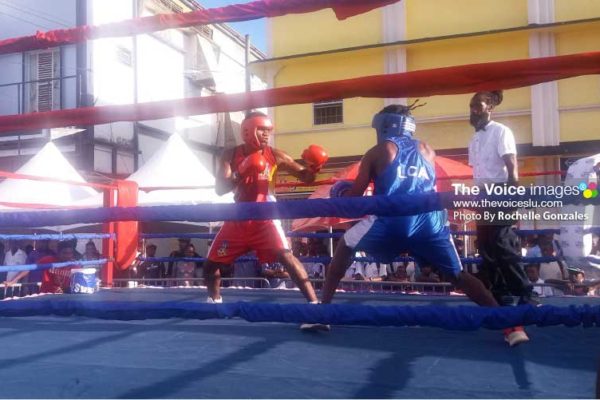 Image: Boxing in progress. [PHOTO By Rochelle Gonzales]