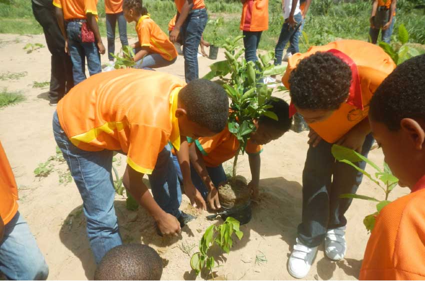 Image of Children planting trees.