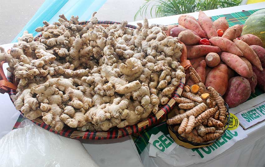 Image: Food Security, Jn. Baptiste said is crucial to survival.