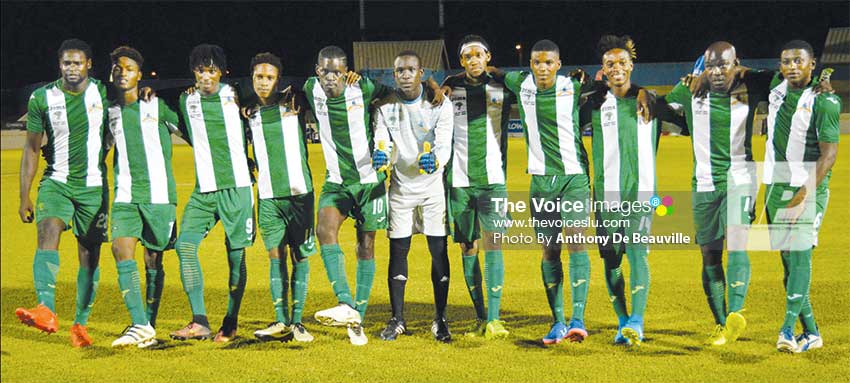 Image of Canaries. (PHOTO: Anthony De Beauville)