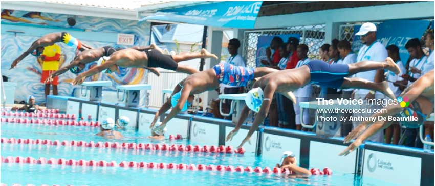 Image: Boys 13-14 in action in 100-metres freestyle. (Anthony De Beauville