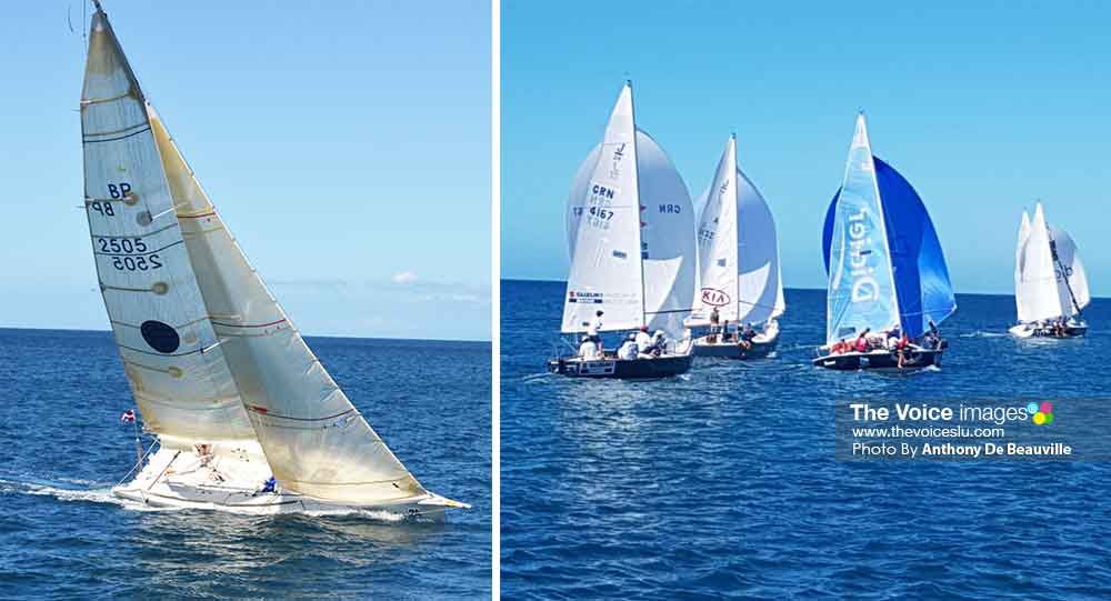 Image: Some of the participants at the 6th Mango Bowl Regatta (Photo: Anthony De Beauville)