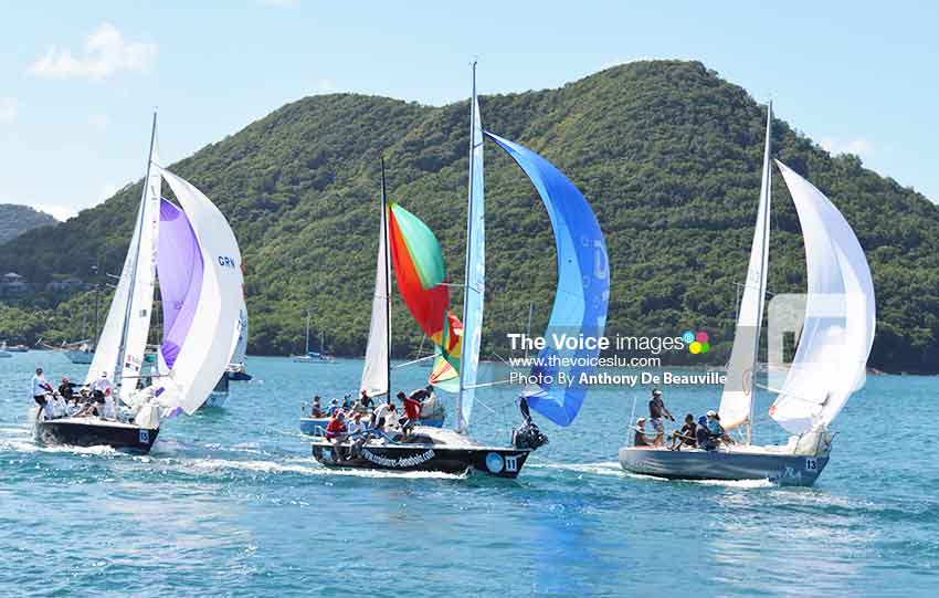 Image: Some of the participants in the J24 race. (Photo: Anthony De Beauville)