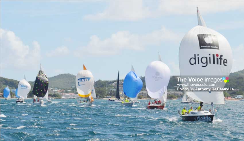 Image: Some of the participants in last year’s Regatta.(PHOTO: Anthony De Beauville)