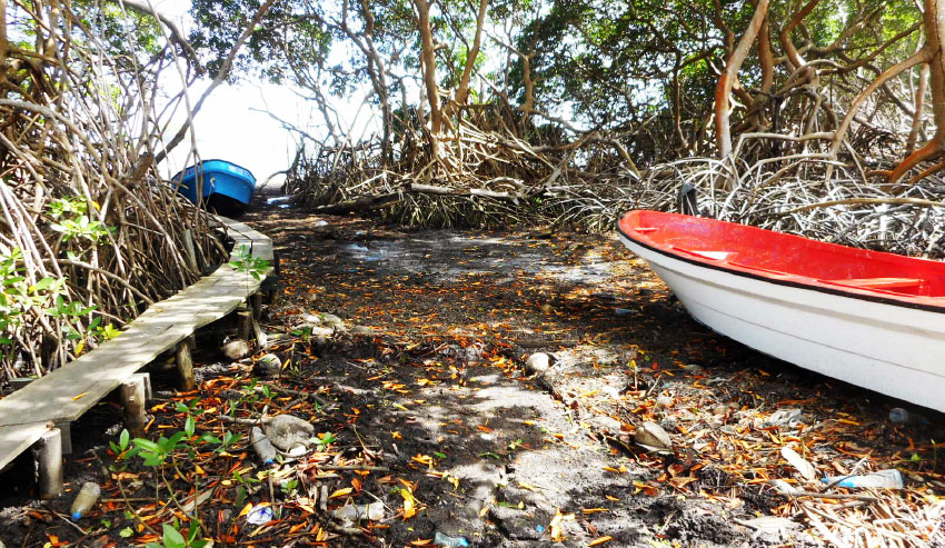 Image of an area close to the Praslin Bay.