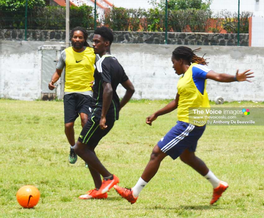 Image: Coaches during a practical session on Tuesday (Photo: Anthony De Beauville)