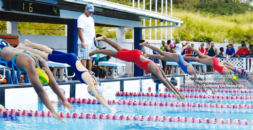 Image: Start of the girls 10 -11 50 SC metre freestyle. (PHOTO: Anthony De Beauville)