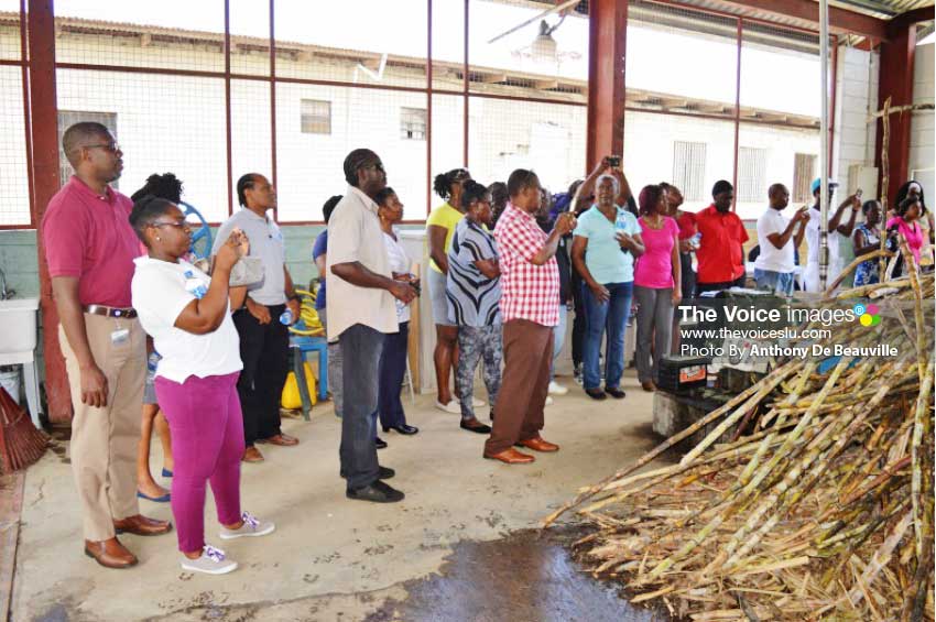 Image: NWU members having a first hand look as to how sugar can juice is made. (PHOTO: Anthony De Beauville)
