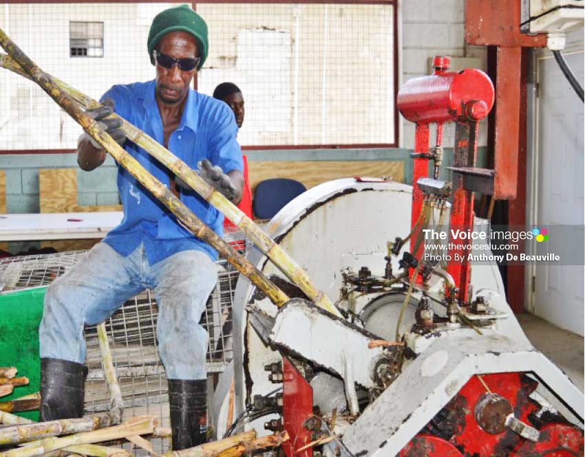 Image: NWU members having a first hand look as to how sugar can juice is made. (PHOTO: Anthony De Beauville)