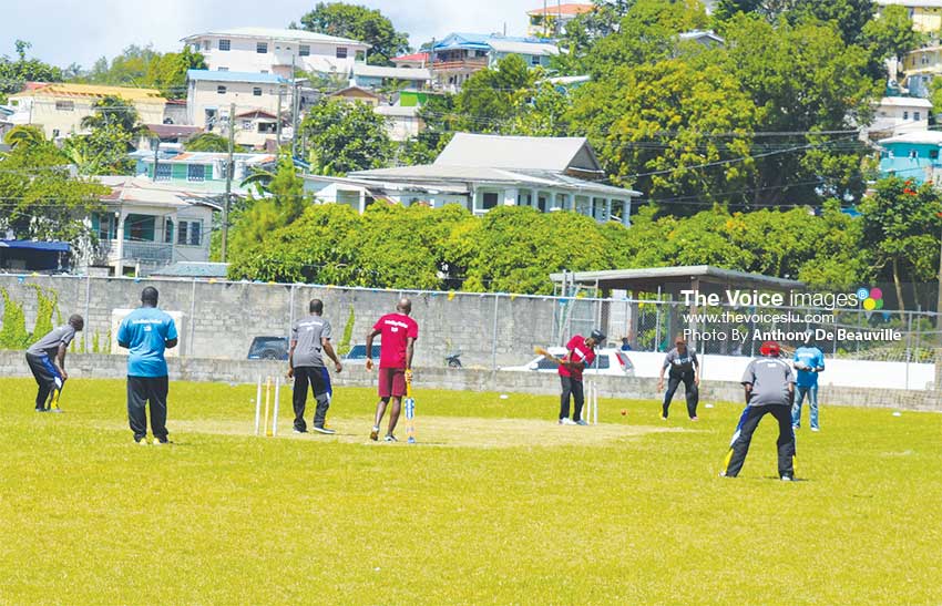 Image of some of the cricket action at the Woulelaba festival. (PHOTO: Anthony De Beauville)
