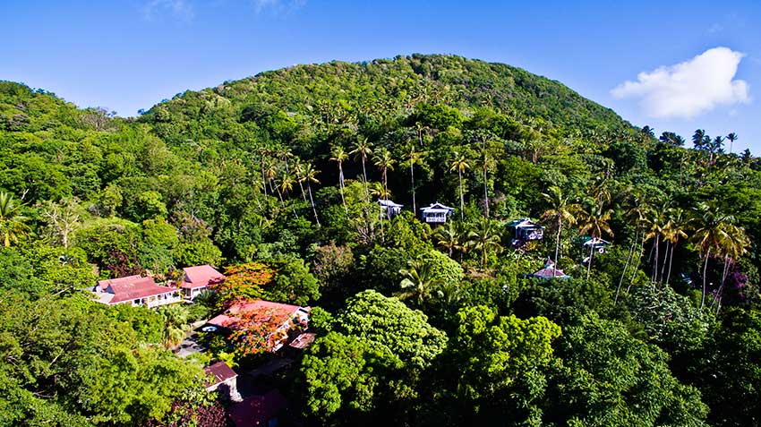 Image of Fond Doux Plantation