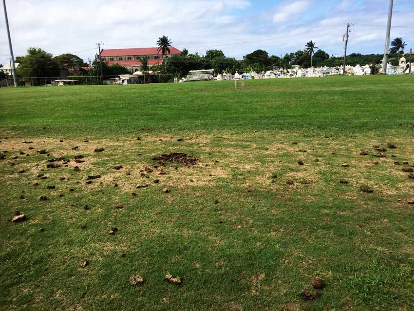 Vandals Destroy Gros Islet Playing Field