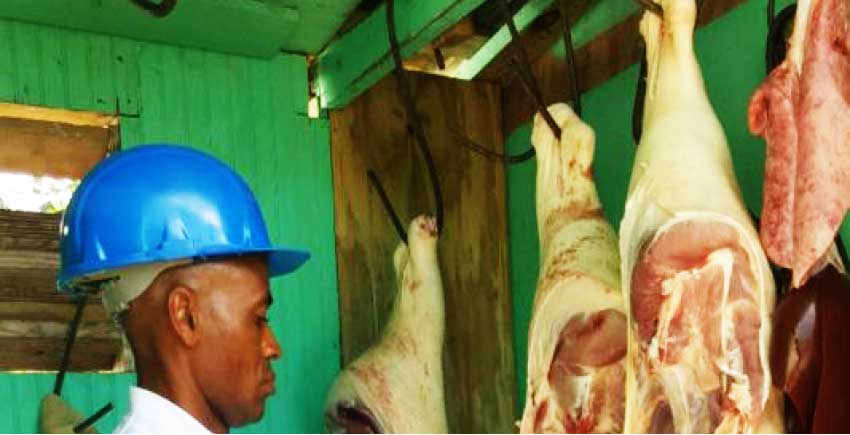 Image of a meat inspection under way