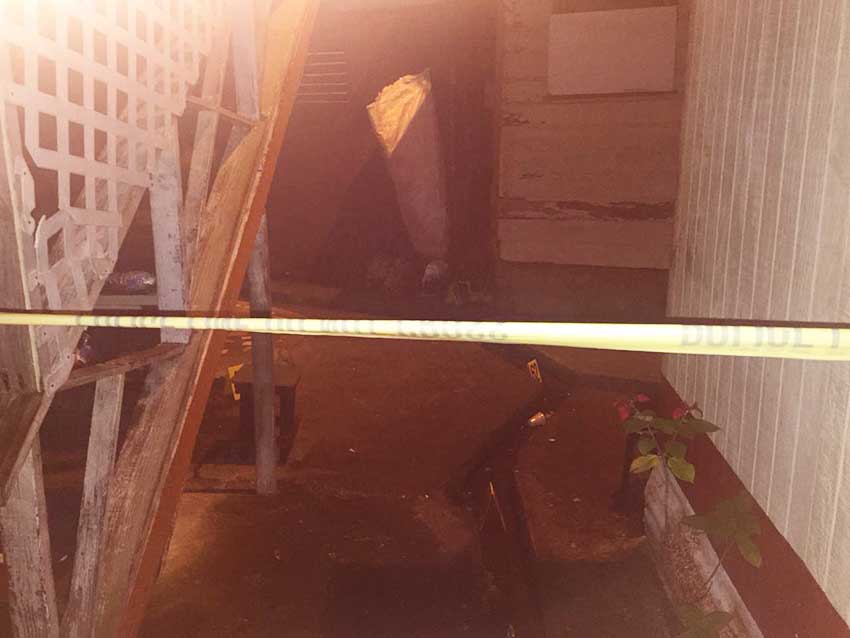 Image of Wilton’s Yard