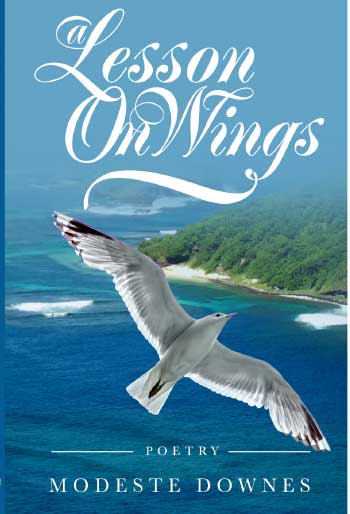 Image of A Lesson on Wings