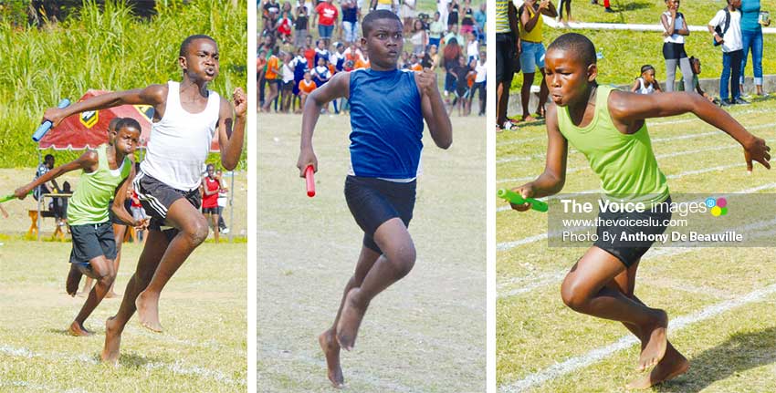 Image: The boys from the various schools came out firing from the blocks. (PHOTO: Anthony De Beauville)