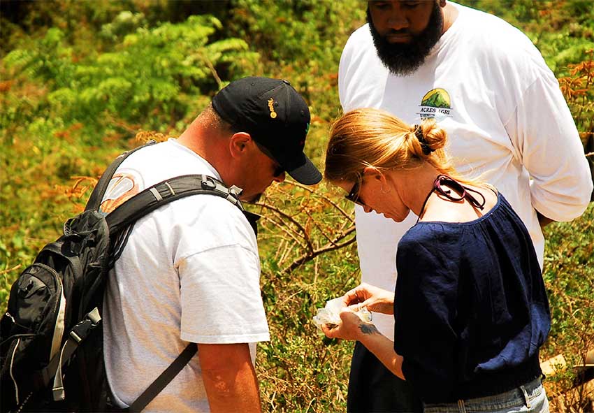 Image: Acres Agri’s farm exploration in SVG.