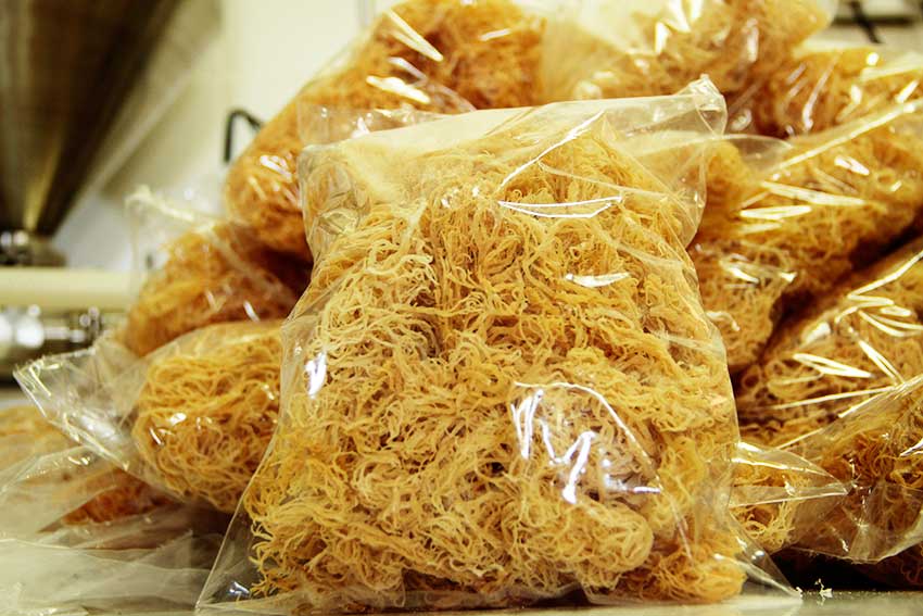 Image of First Shipment of Sea Moss