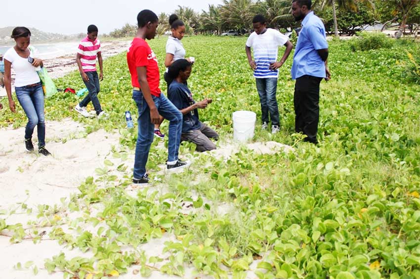 Image: Young people have been involved in the Trust’s public awareness education programme on protecting turtles.