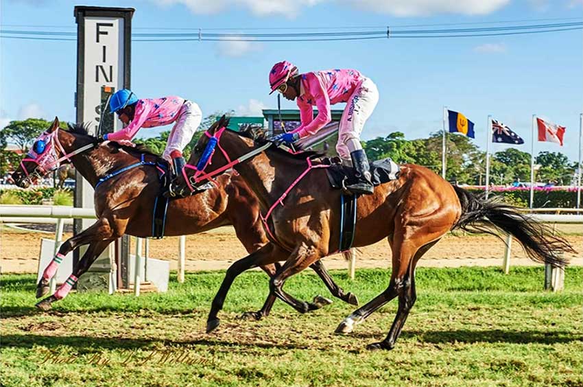 Image: Eric Daniel hits the winning pole on Arrowhead at the Garrison Savannah, Barbados. 