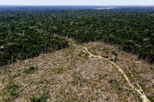 An aerial view shows deforested land in the southern region of the state of Amazonas, Brazil, July 27, 2017.