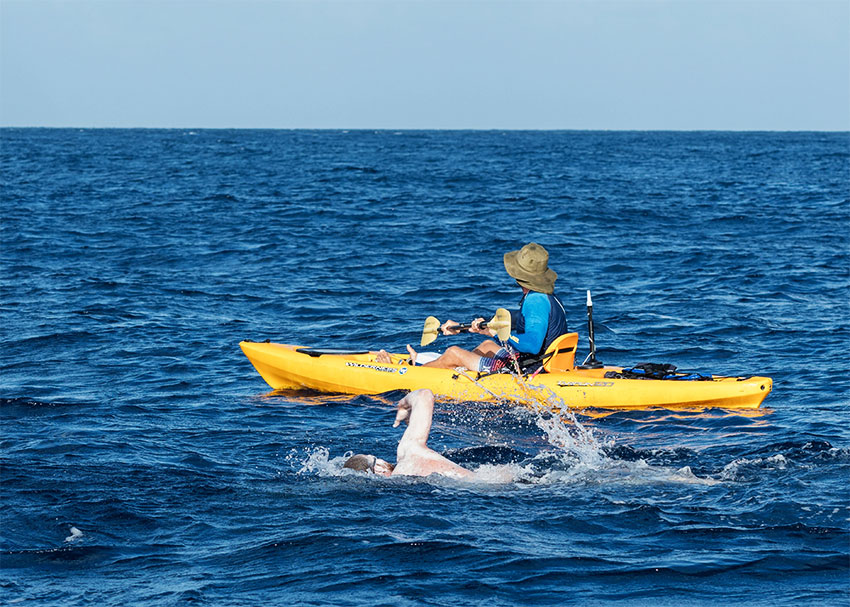 Image: Bellamy swims in open water on route to Saint Lucia