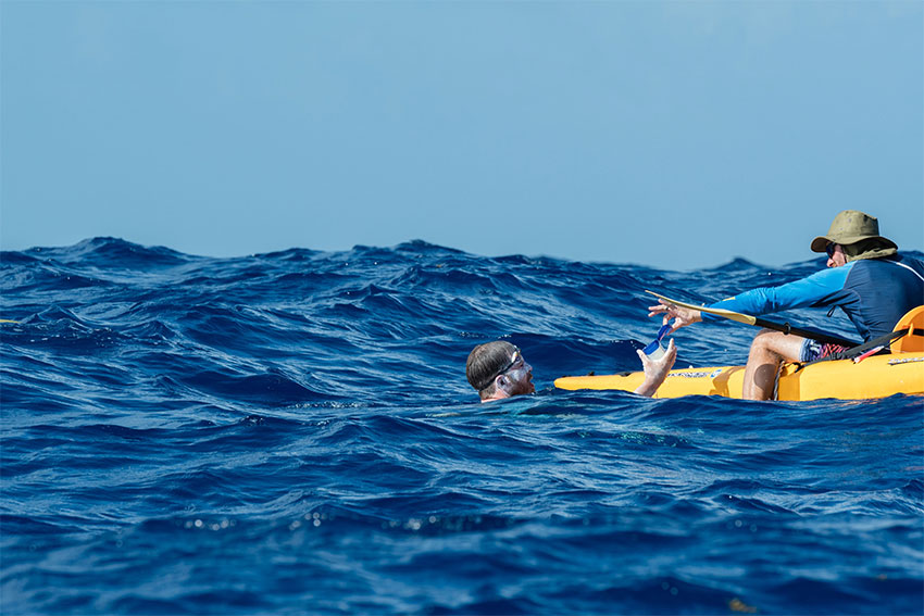 Image: Using petroleum jelly was one of the ways Bellamy prevented salt-water mouth