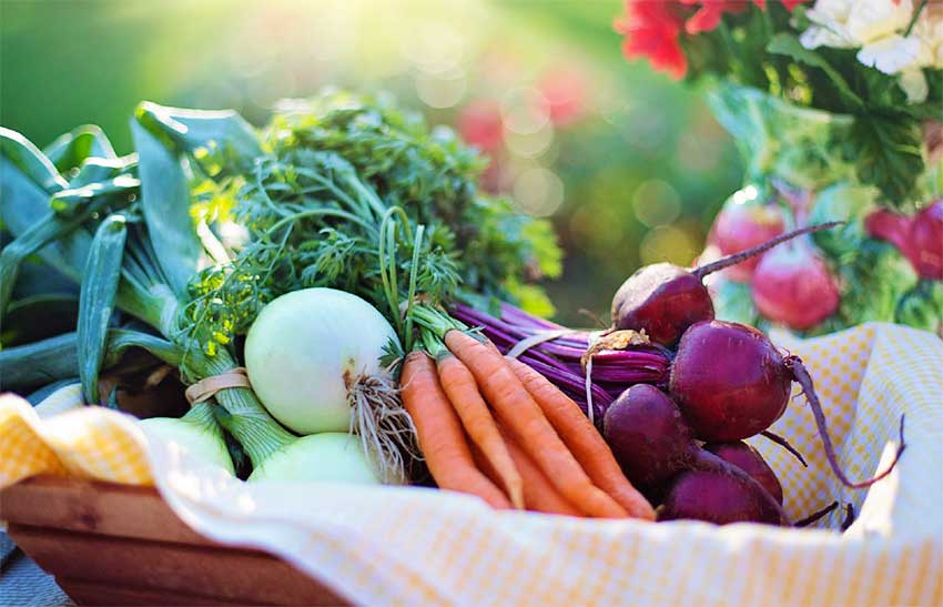 Image: Backyard gardening is one way that you can ensure food is always available for your family.