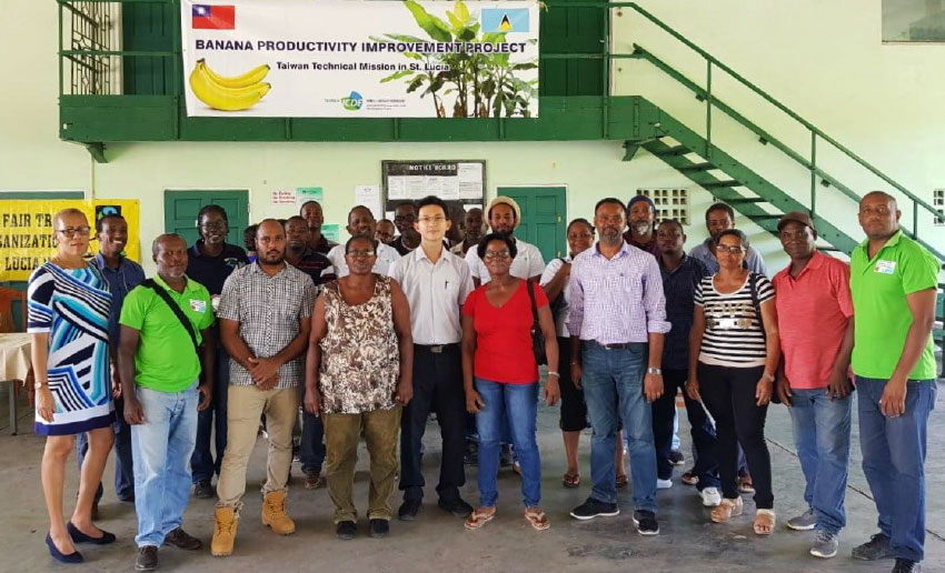 Image: Participants in the banana quality control training session initiated by the Taiwan Technical Mission and the Ministry of Agriculture. 