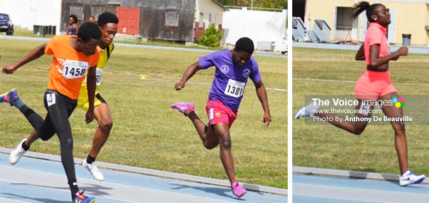 Image: (L-R) No. 1458 Sirgio Mc Kenzie 1st across the finish line in the boys 100 meters final; No. 1504 Annela Phillip made light work of the field to win the Women 800 meters final. (PHOTO: Anthony De Beauville) 