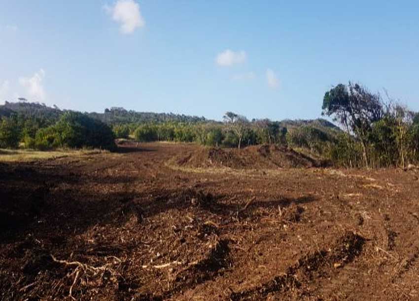 Image: Massive ongoing land clearance 2020. Source: Authors