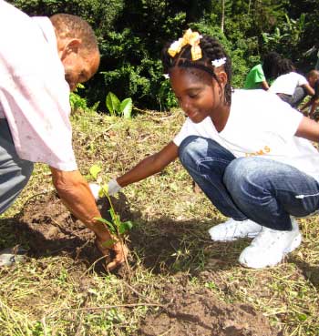 Image: SLNT coordinates tree planting initiative in Soufriere. 