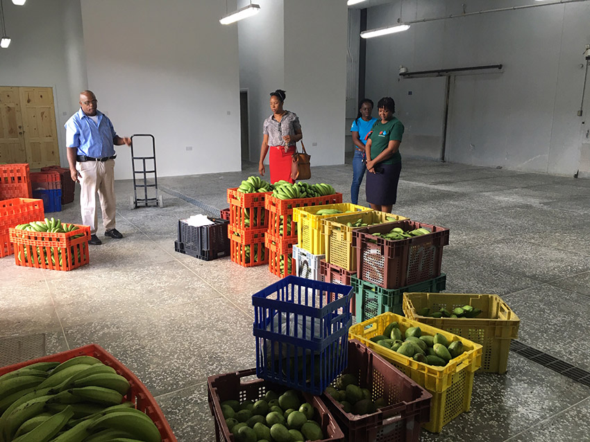 Taiwan Technical Mission and the Ministry of Agriculture support SLMB during the current COVID-19 pandemic.