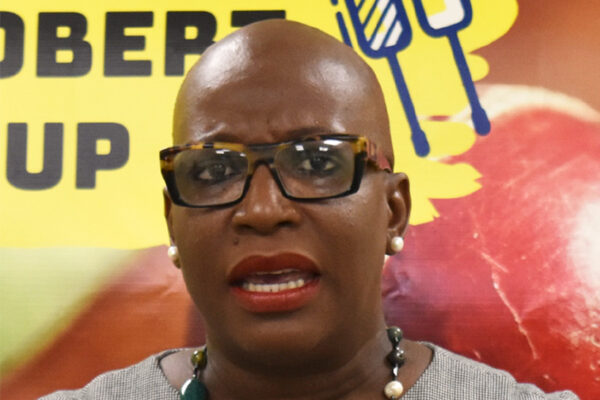 Image of Minister for Education, Innovation, Gender Relation and Sustainable Development, Dr. Gale Rigobert addressing the media on Wednesday. (PHOTO: Anthony De Beauville)