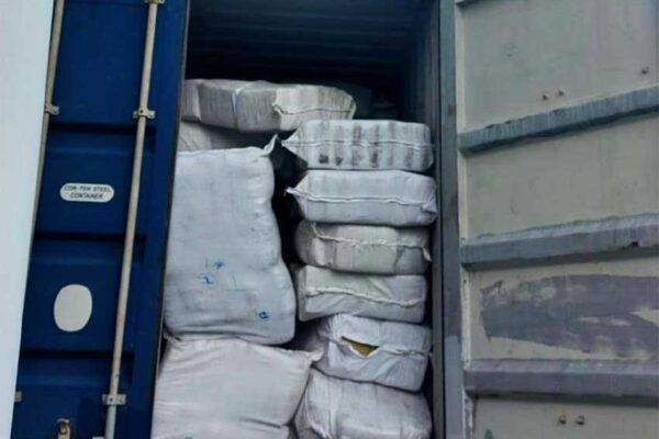 Image of Container seized with 2 Tonnes of marijuana.