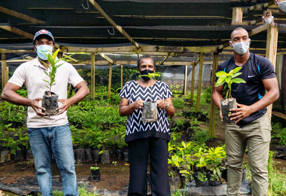 Image of Forestry Officer Nerius Mitchel(left) with BHC’s Geraldine Alcide (centre) and Project Lead, David Henry (right).