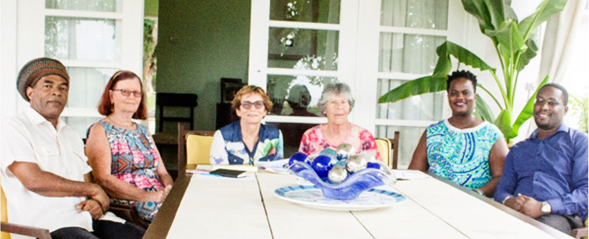 The Amy’s Gift to St. Lucia committee